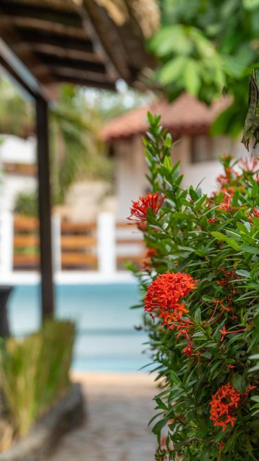 Hotel Luna Llena Tamarindo Exteriér fotografie